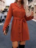 Solid Bodycon Shirt Dress, Casual Button Front Long Sleeve Dress, Women's Clothing