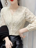 Lace V Neck Button Front Blouse, Elegant Long Sleeve Blouse For Spring & Fall, Women's Clothing