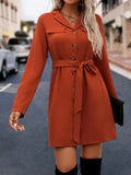 Solid Bodycon Shirt Dress, Casual Button Front Long Sleeve Dress, Women's Clothing