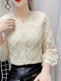 Lace V Neck Button Front Blouse, Elegant Long Sleeve Blouse For Spring & Fall, Women's Clothing