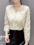 Lace V Neck Button Front Blouse, Elegant Long Sleeve Blouse For Spring & Fall, Women's Clothing