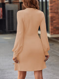 Simple Lantern Long Sleeve Dress, Casual V Neck Solid Dress, Women's Clothing