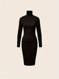 Turtleneck Solid Midi Dress, Elegant Long Sleeve Bodycon Dress, Women's Clothing